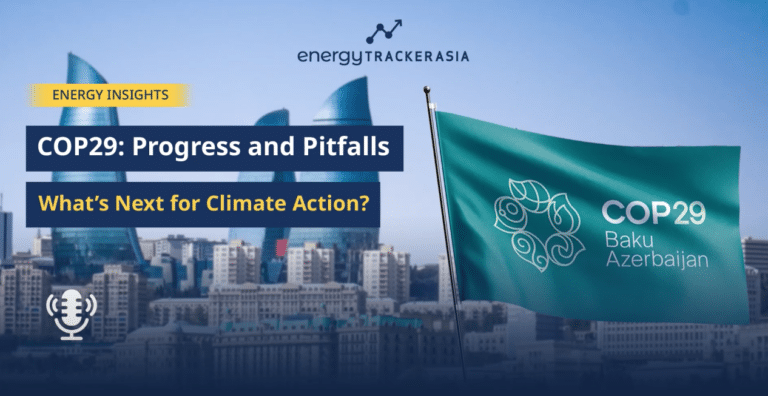 COP29 Outcome: What’s Next for Climate Action?